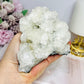 Natural Apophyllite Cluster 354g