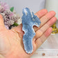 Blue Coral Fossil Slab Specimen 10.5cm