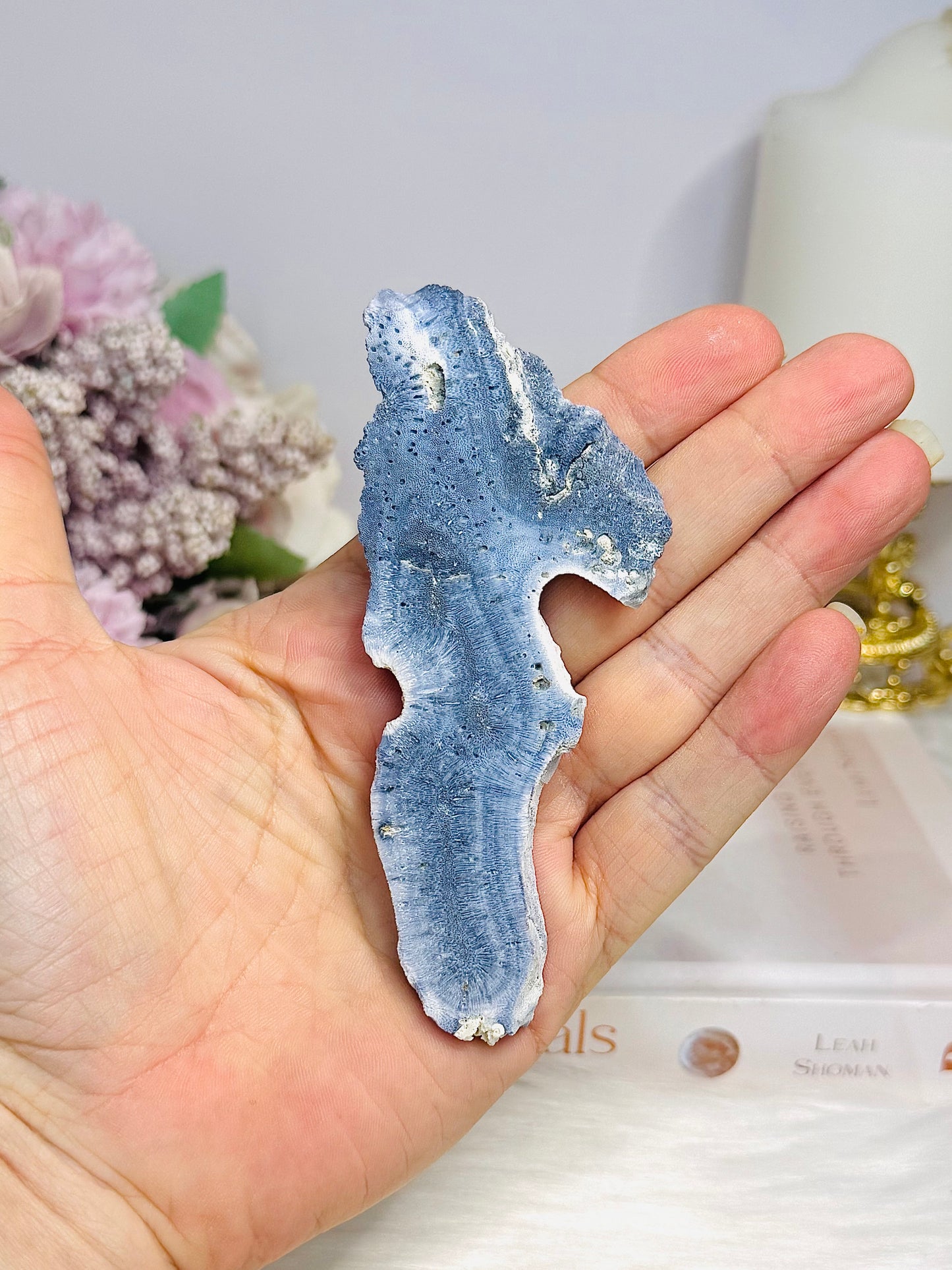 Blue Coral Fossil Slab Specimen 10.5cm