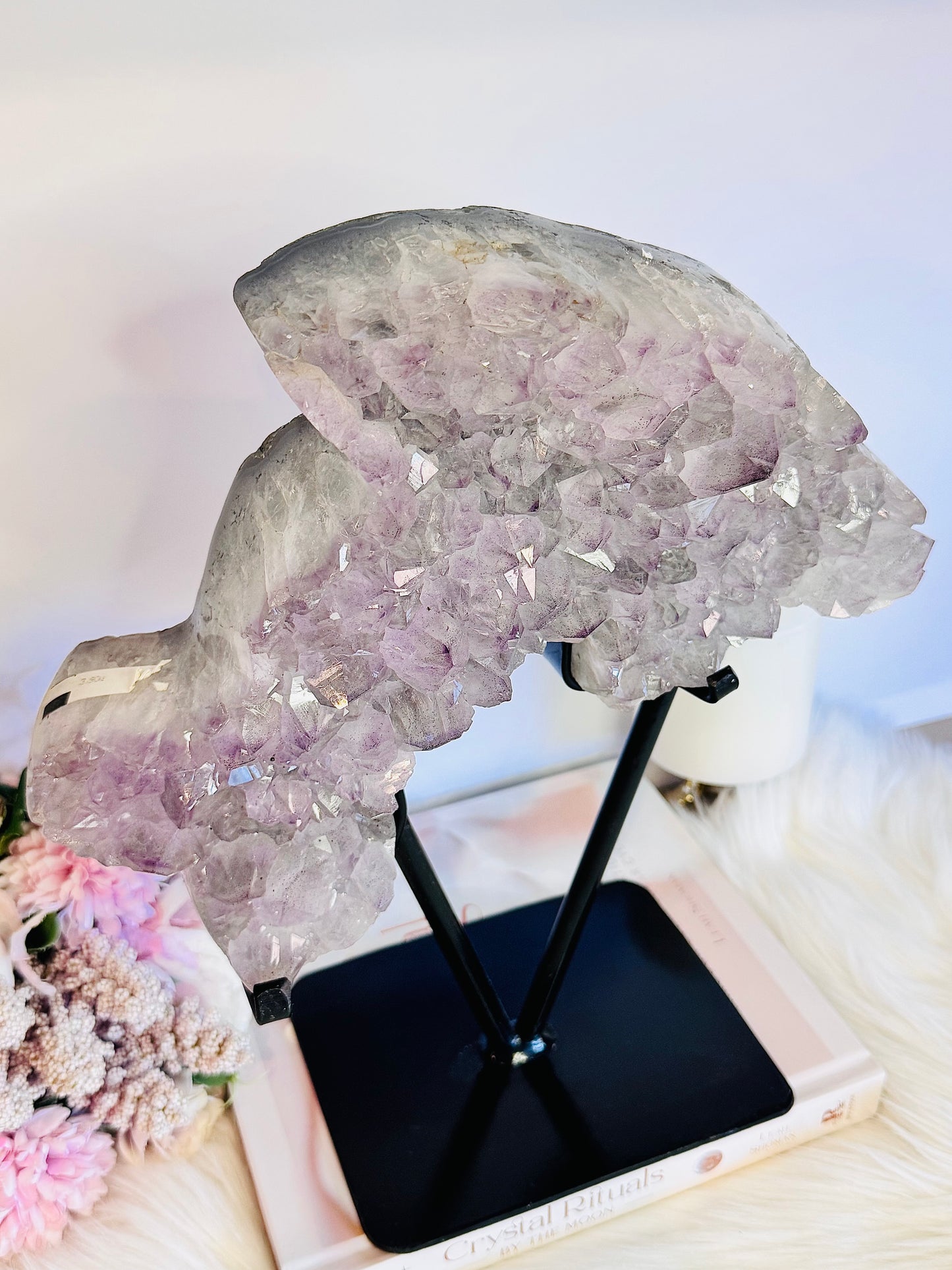 MASTER PIECE!!!! Huge 30cm 3.92KG Amethyst Cluster Carved Dolphin On Stand From Brazil