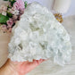 ⚜️ SALE ⚜️ Collectors Piece ~ High Grade Huge Natural White Apophyllite Cluster 1.79KG