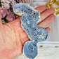 Natural Blue Fossilised Coral Vintage Skeleton  Specimen 13cm