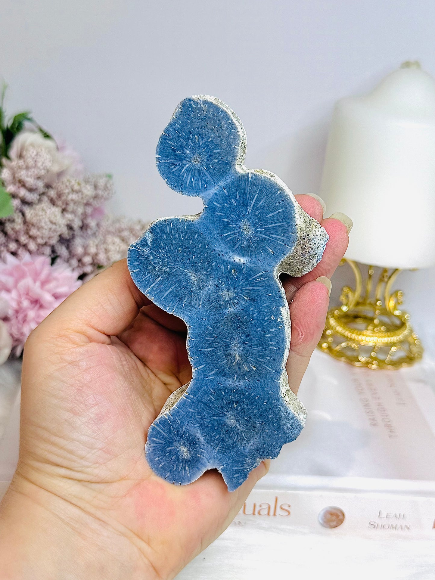 Blue Coral Fossil Slab Specimen 13.5cm On Stand
