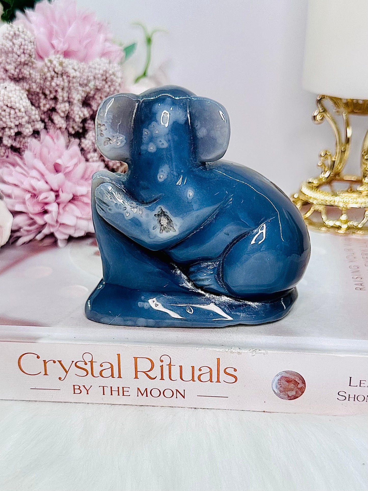 High Grade Chunky 10cm Druzy Agate Amethyst Carved Koala Bear