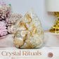 Flower Agate Flame | Freeform 9cm