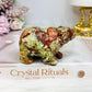 Money Agate Carved Bear 8cm