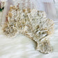 Large Natural Gypsum Selenite Specimen 21cm 578g