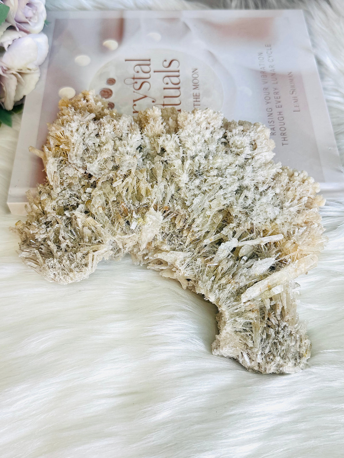 Large Natural Gypsum Selenite Specimen 21cm 578g