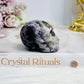 Amethyst Skull 5.5cm
