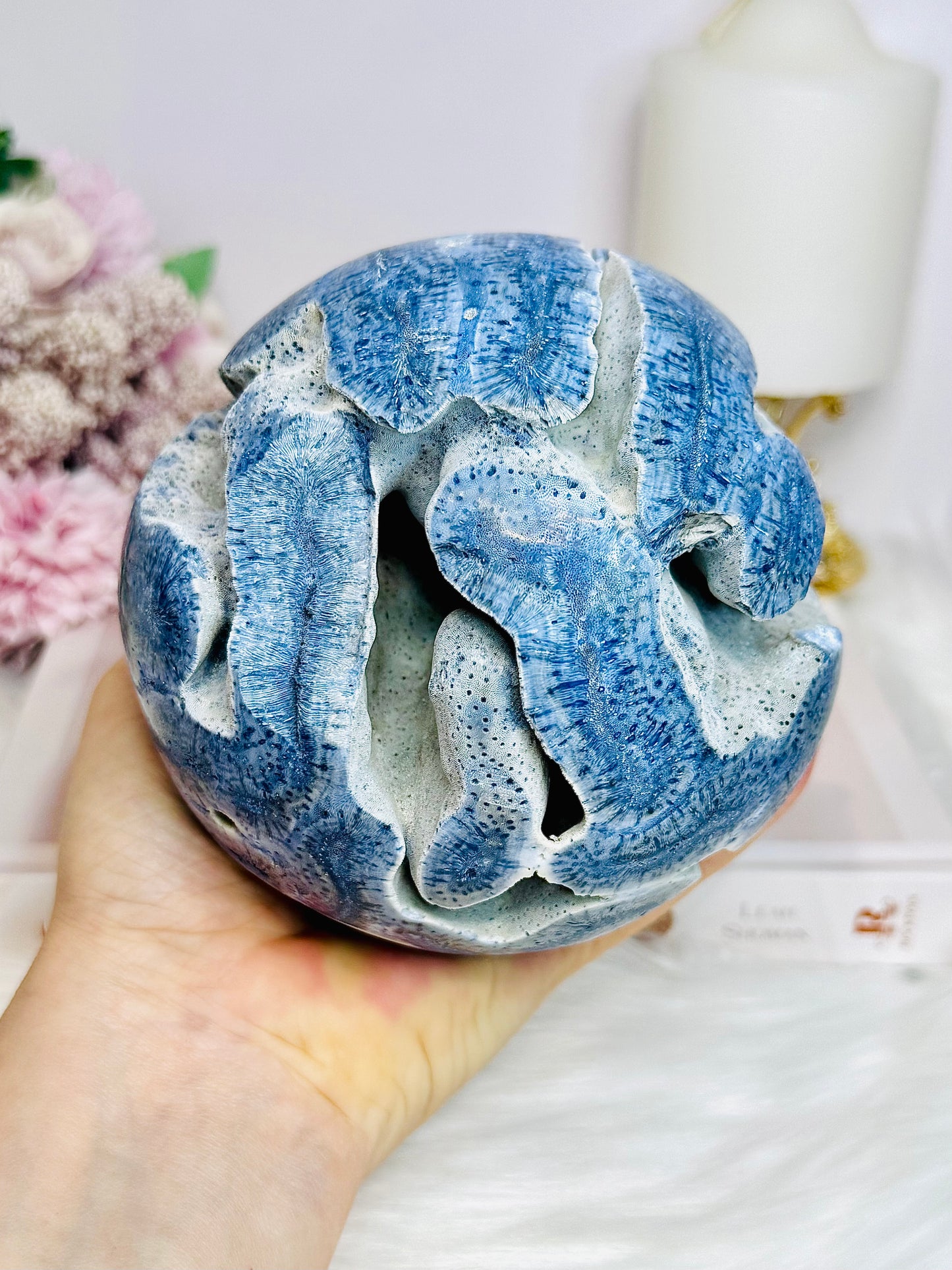 Huge Natural Blue Coral Fossil 1.27KG