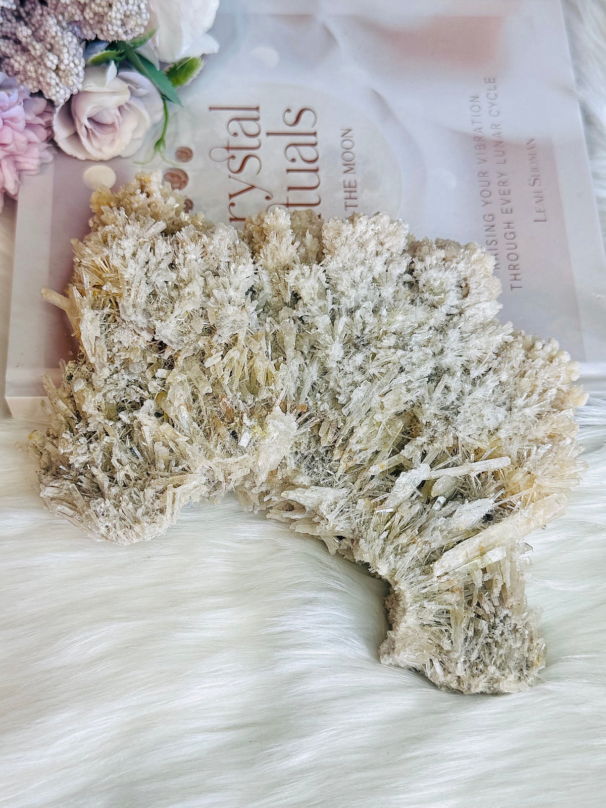 Large Natural Gypsum Selenite Specimen 21cm 578g
