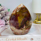 Large Petrified Wood Freeform 13cm 692g