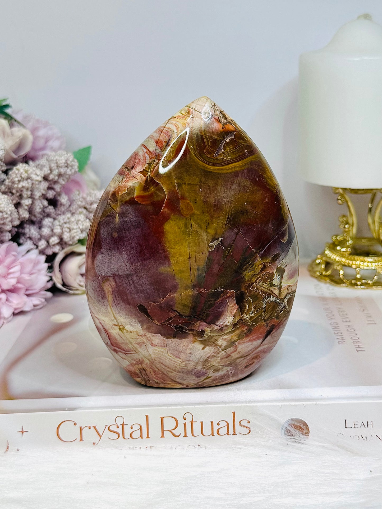 Large Petrified Wood Freeform 13cm 692g