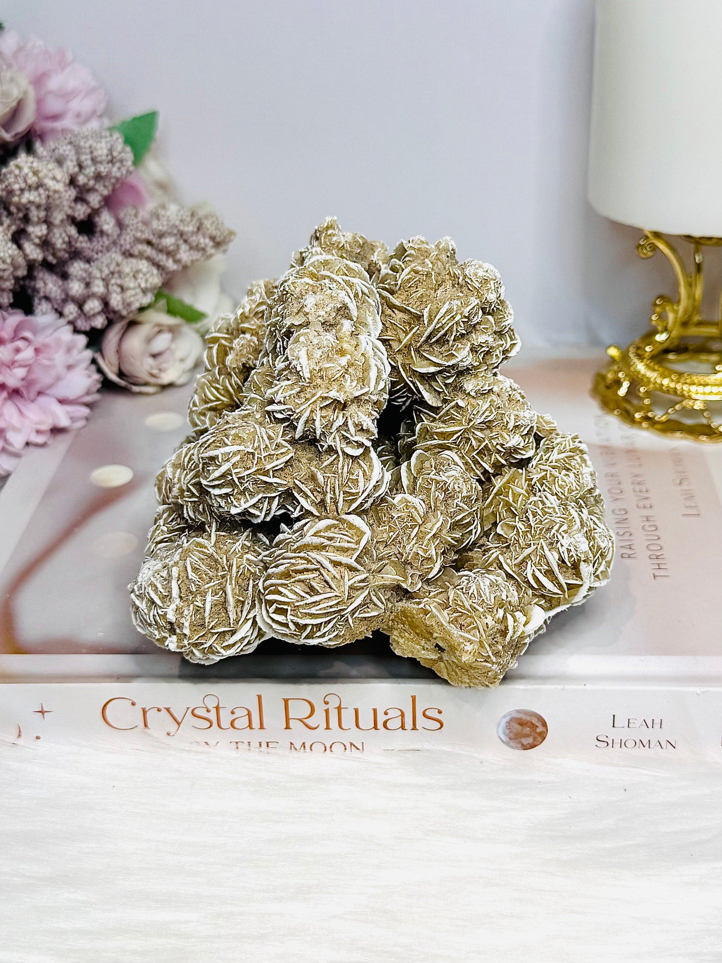 Natural Large Desert Rose Selenite Specimen 547g