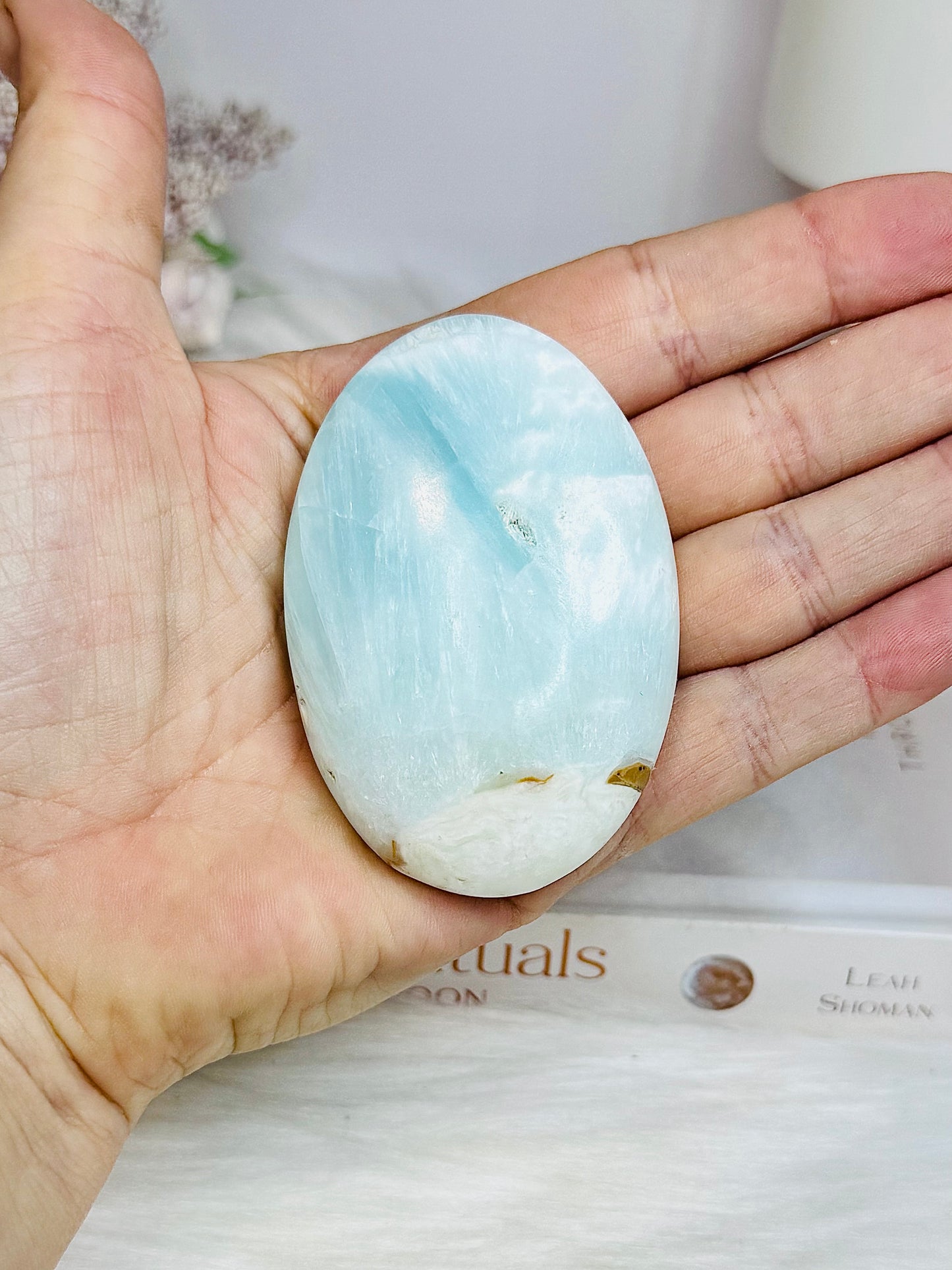 Caribbean Calcite Palm Stone (stand is display only)