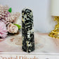 Black Tourmaline In Quartz Tower 10cm