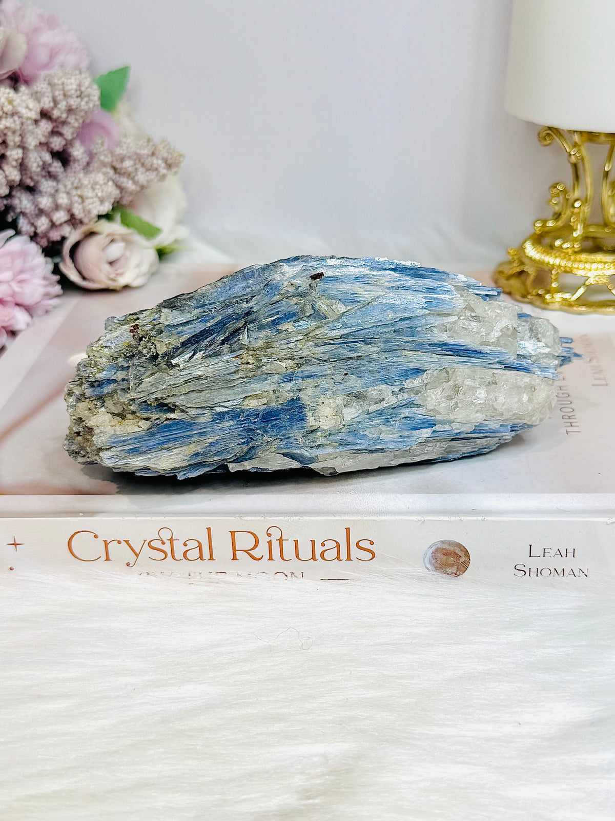 Large Blue Kyanite Freeform 459g 14cm