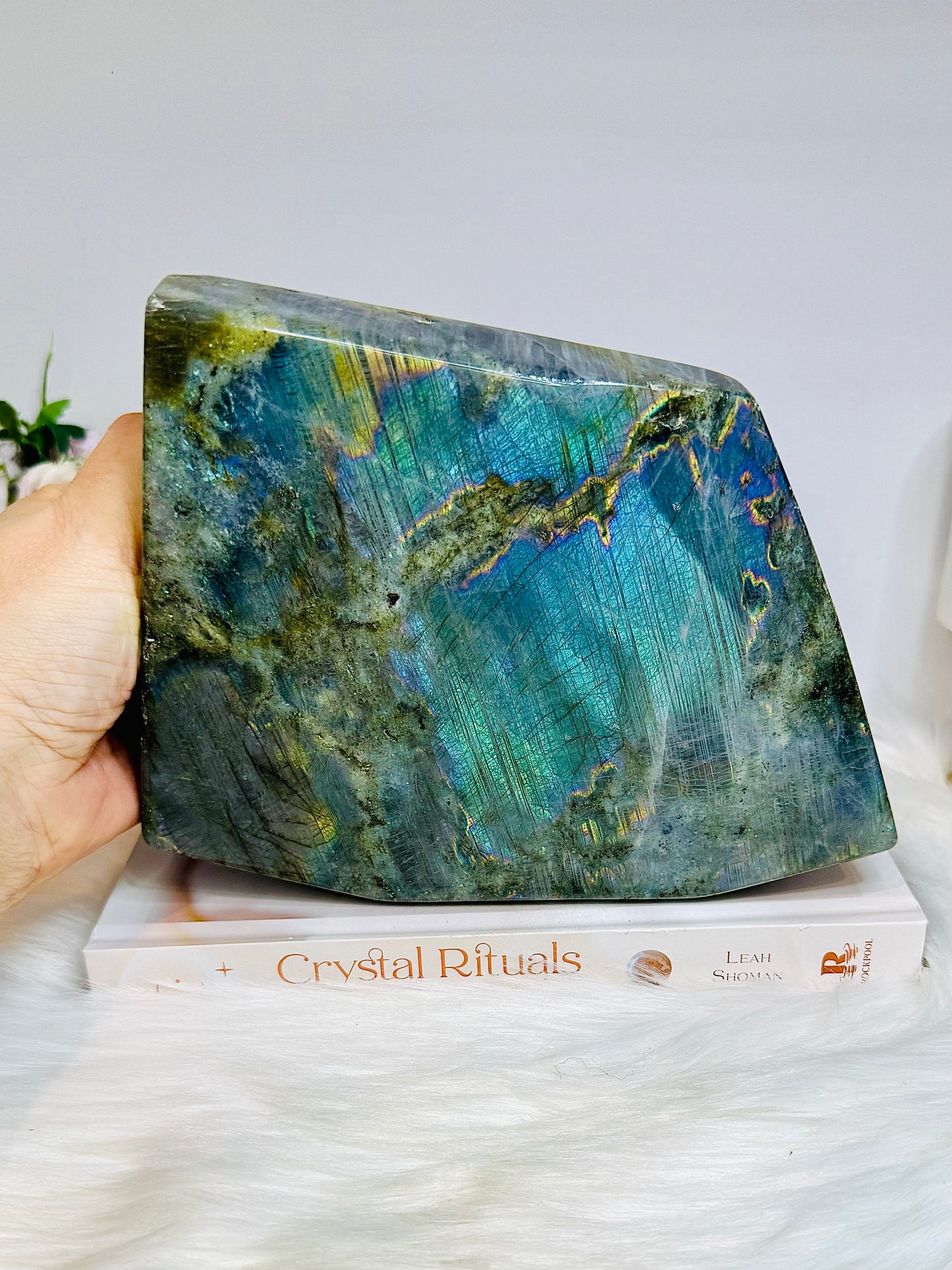 Large Labradorite Freeform Full of Flash 18cm 1.6KG
