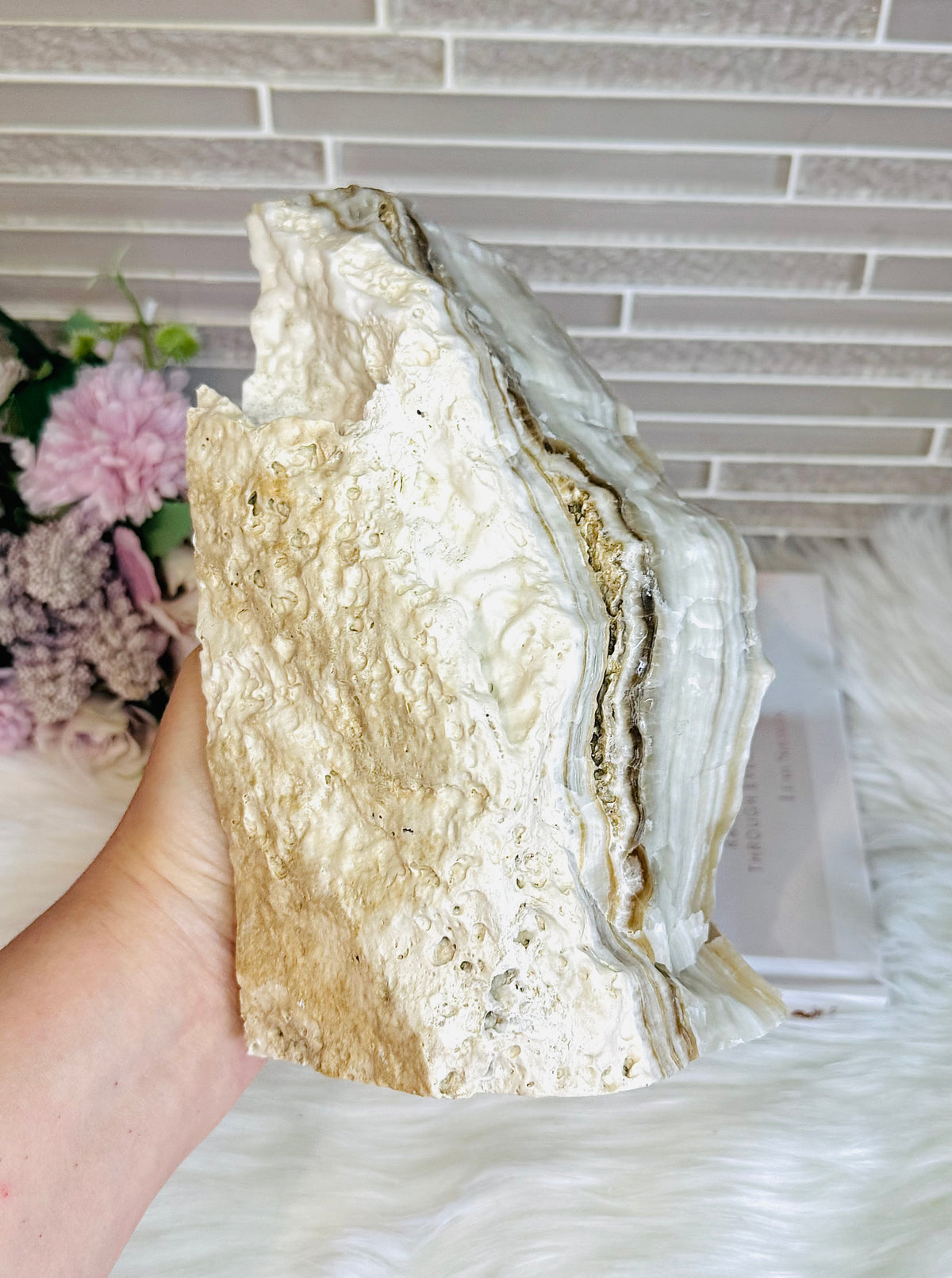 Huge Natural Aragonite Freeform | Slab 20cm Tall 2.87KG