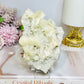Apophyllite Cluster Specimen On Stand 13cm