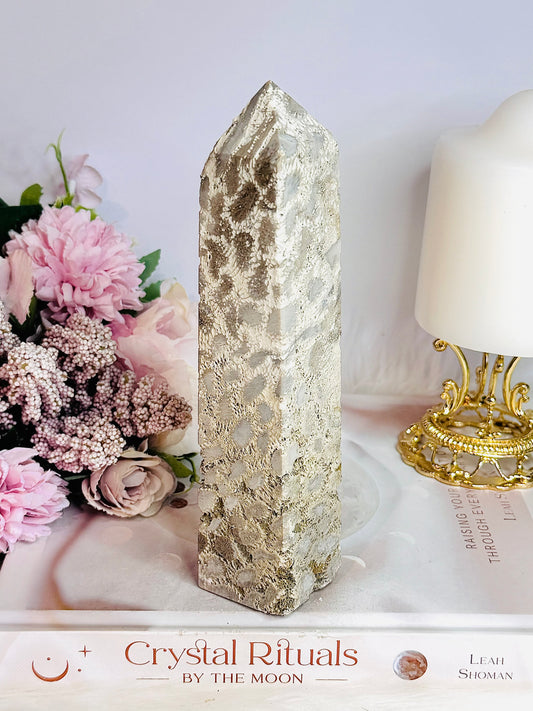 Natural Large Fossil Coral Tower 17.5cm