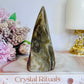 Natural Banded Agate Freeform 12cm