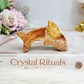 Crazy Lace Agate Carved Dolphin 7cm