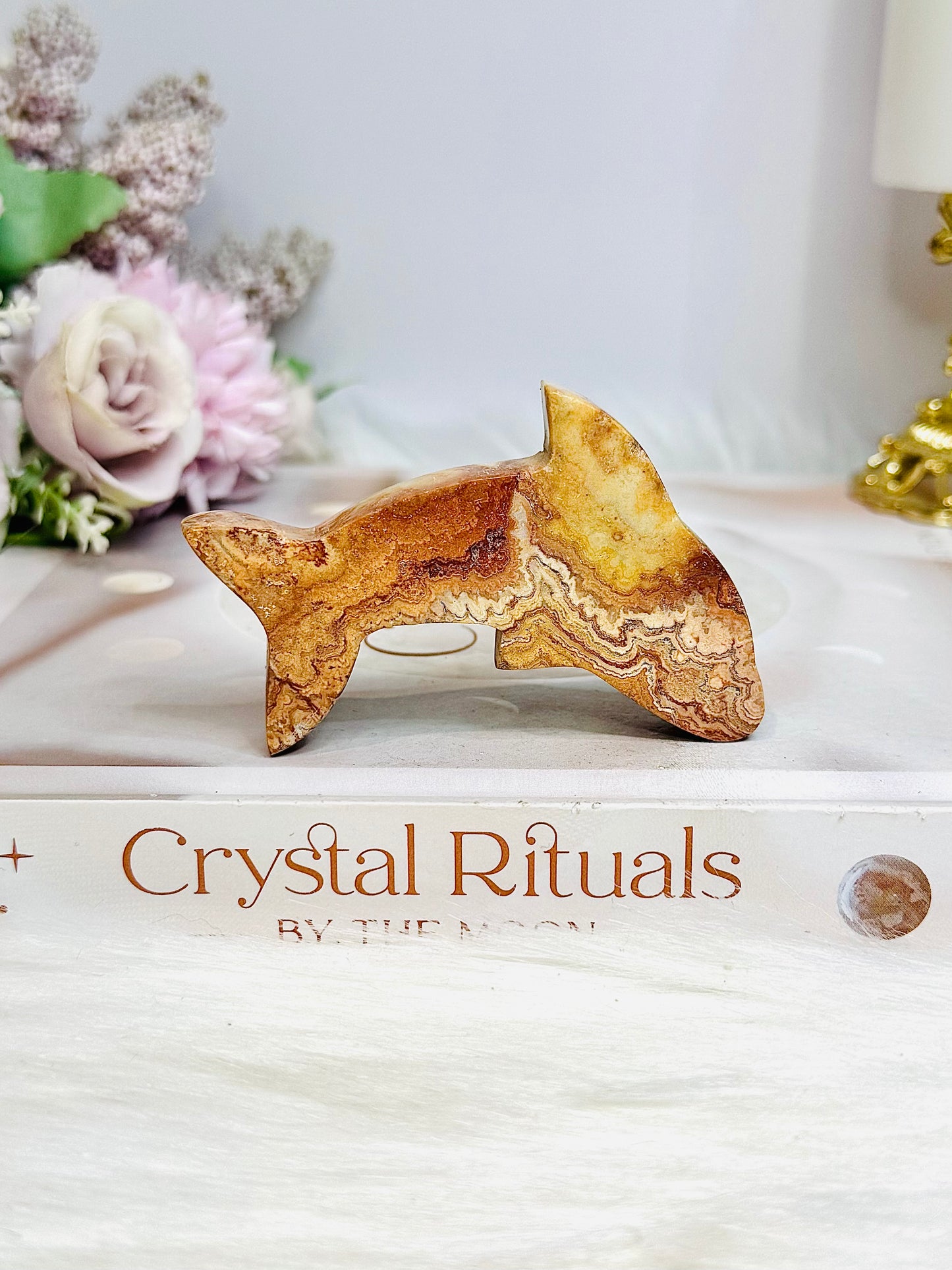 Crazy Lace Agate Carved Dolphin 7cm