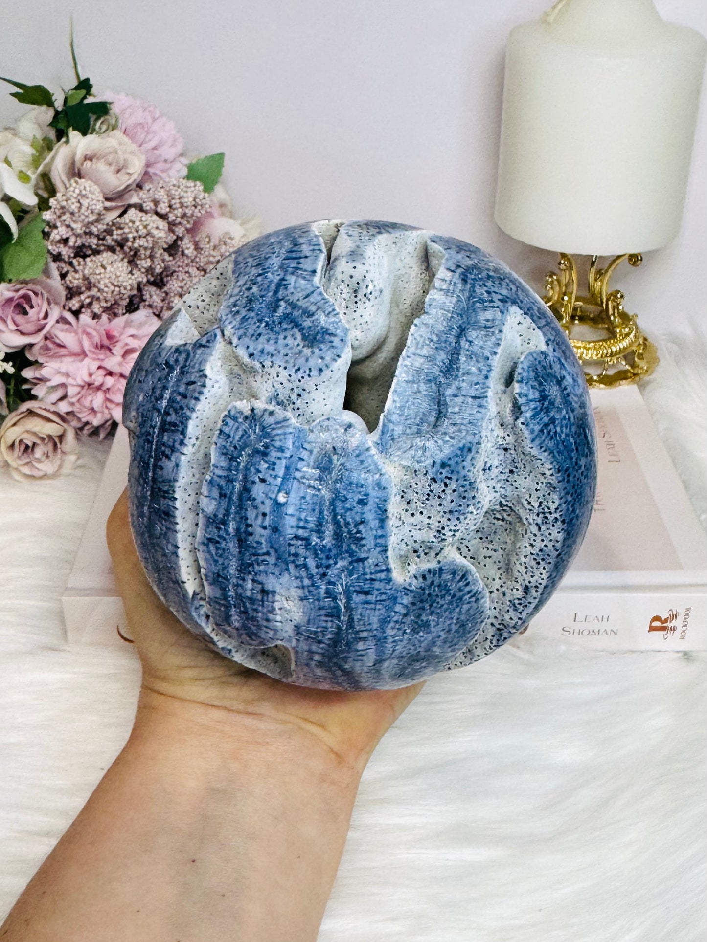 Huge Natural Blue Coral Fossil 1.27KG