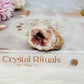 Natural Pink Amethyst Druzy Geode