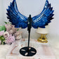 Large Blue Sodalite Angel Wings on Stand 23cm