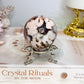 High Grade Flower Agate Sphere On Stand 195g