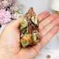 Money Agate Carved Bear 8cm