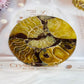 Natural Ammonite Fossil Shell Plate on Stand 12.5cm