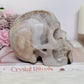 Huge 1.59KG Pastel Fluorite Carved Skull