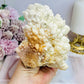 Natural Large White Aragonite | Cave Calcite Cluster Specimen 11cm 587g