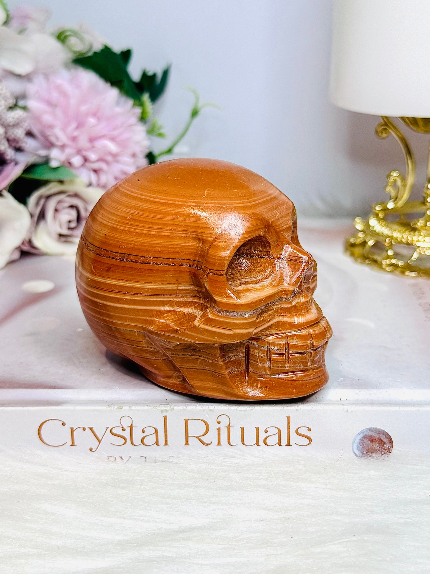 Large Jasper Carved Skull 404g