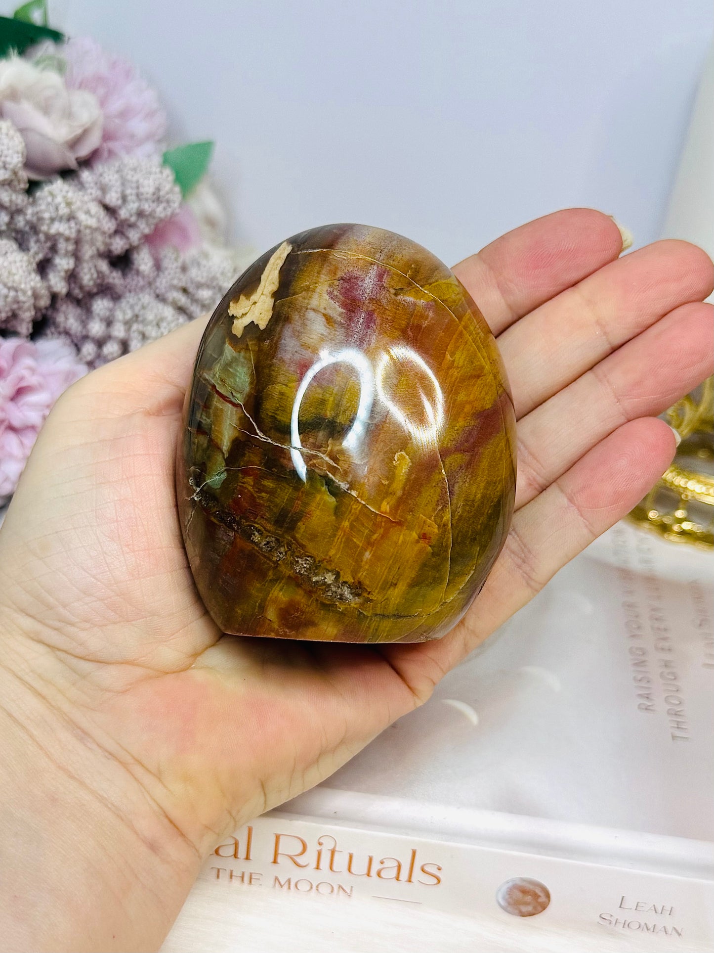 Petrified Wood Chunky Freeform 8cm 353g