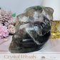 Large Fluorite Carved Skull with Bear Head 1.68KG