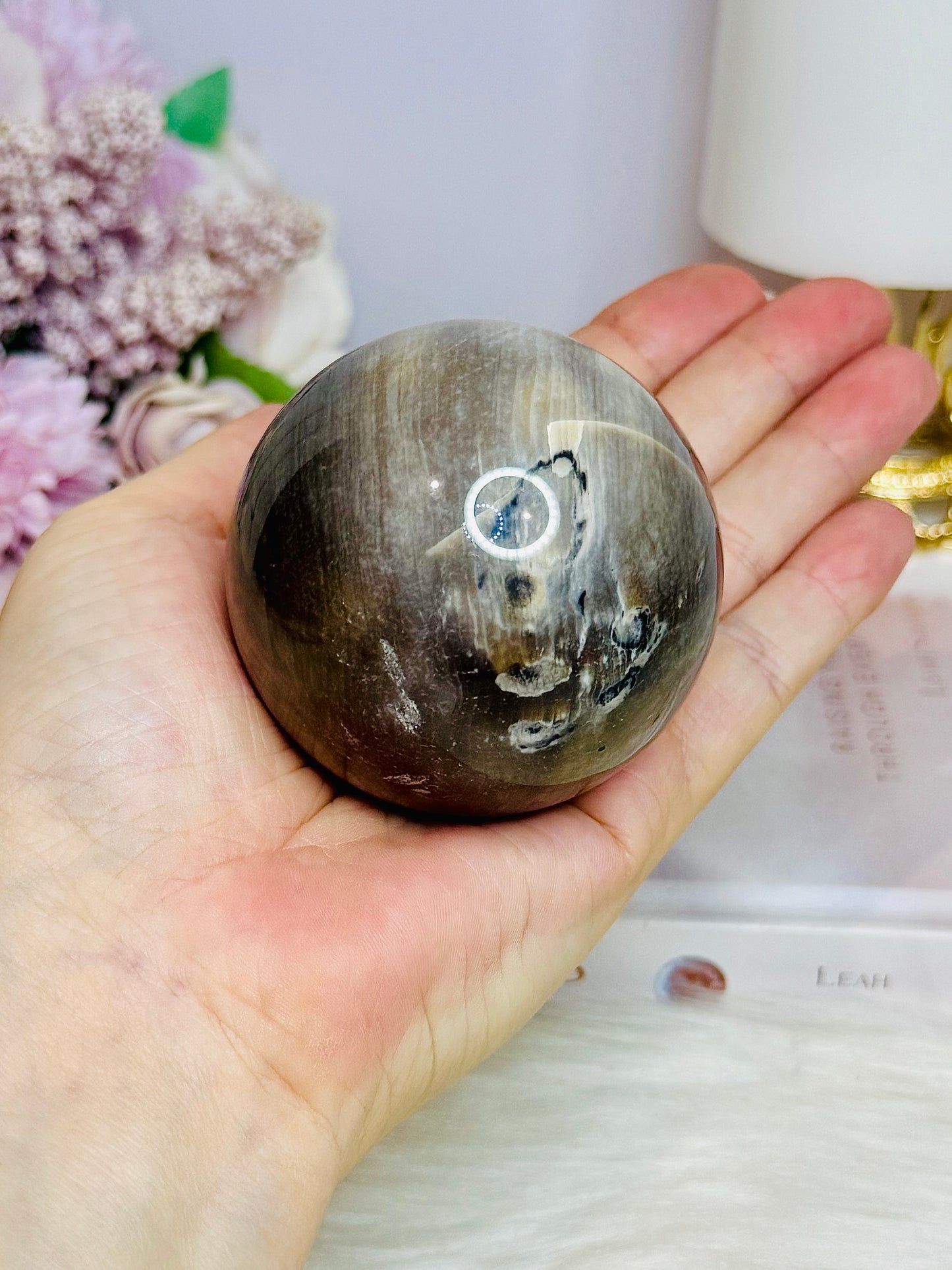 Petrified | Fossilised Wood Sphere on Stand 345g