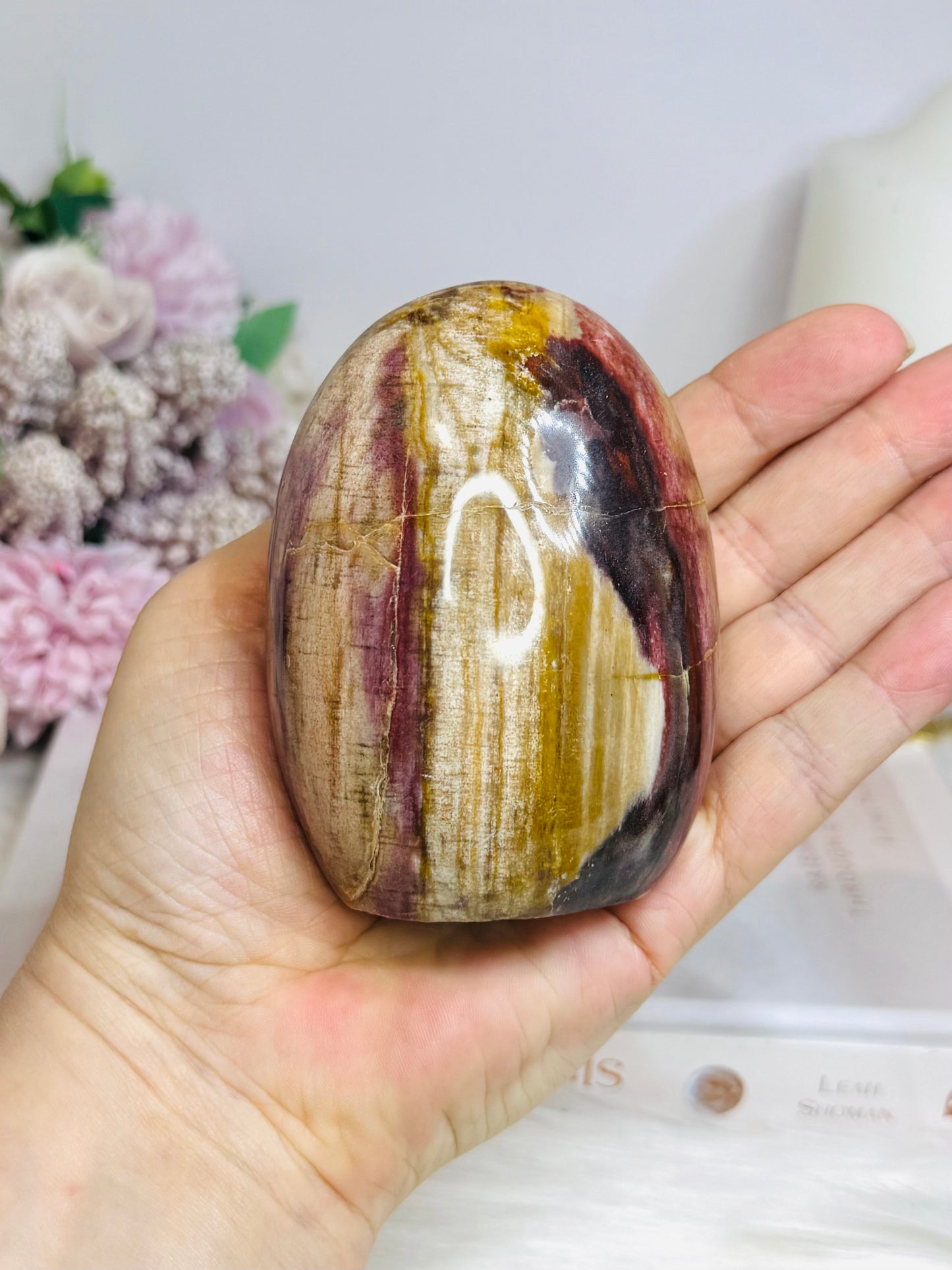 Petrified Wood Freeform 8.5cm 363g