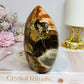 Large Petrified Wood Freeform 11.5cm 710g