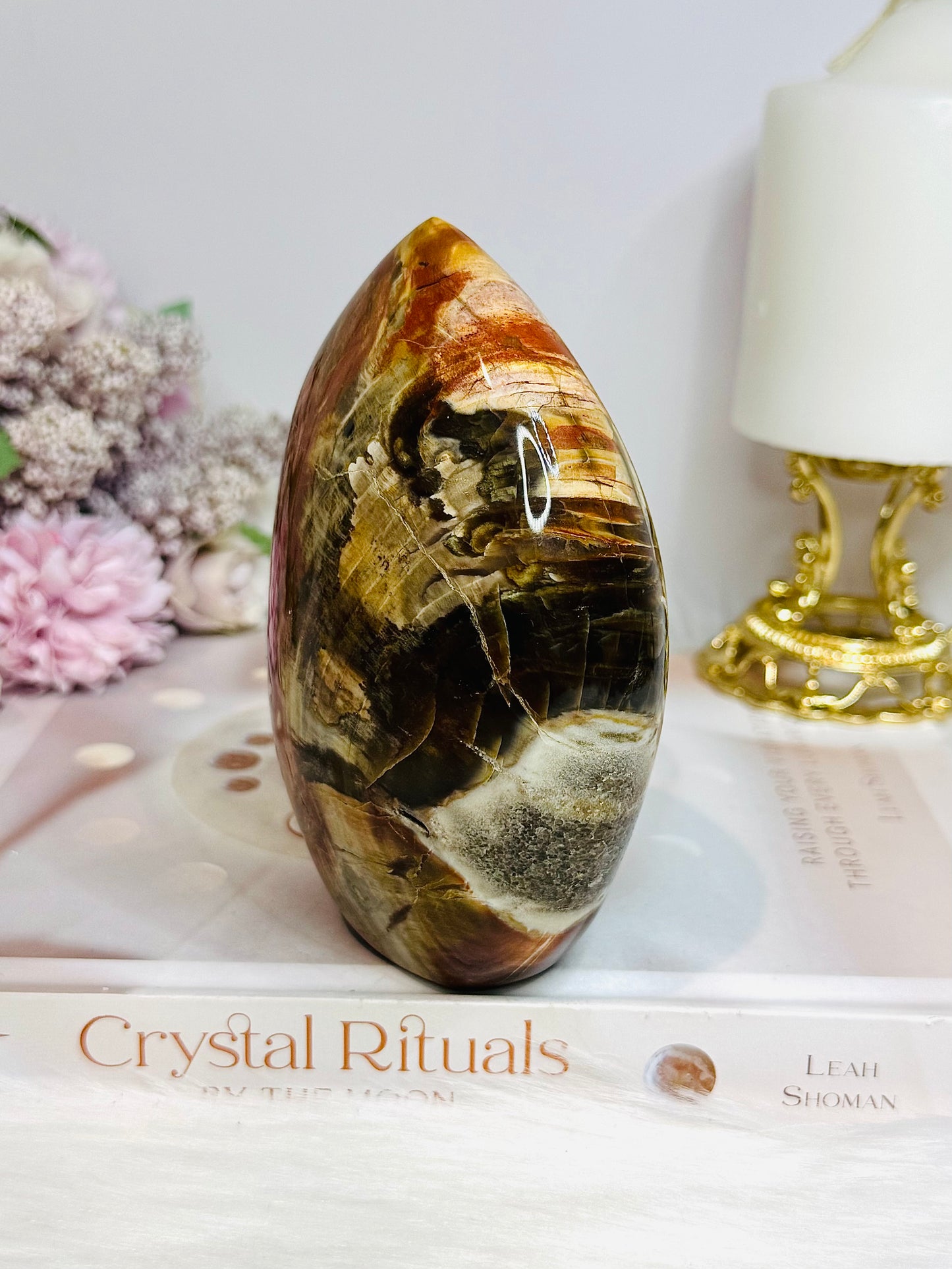 Large Petrified Wood Freeform 11.5cm 710g