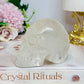 Clear Quartz Carved Skull 306g 7.5cm