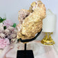 Large Pink Amethyst Druzy Geode On Stand From Brazil 904g