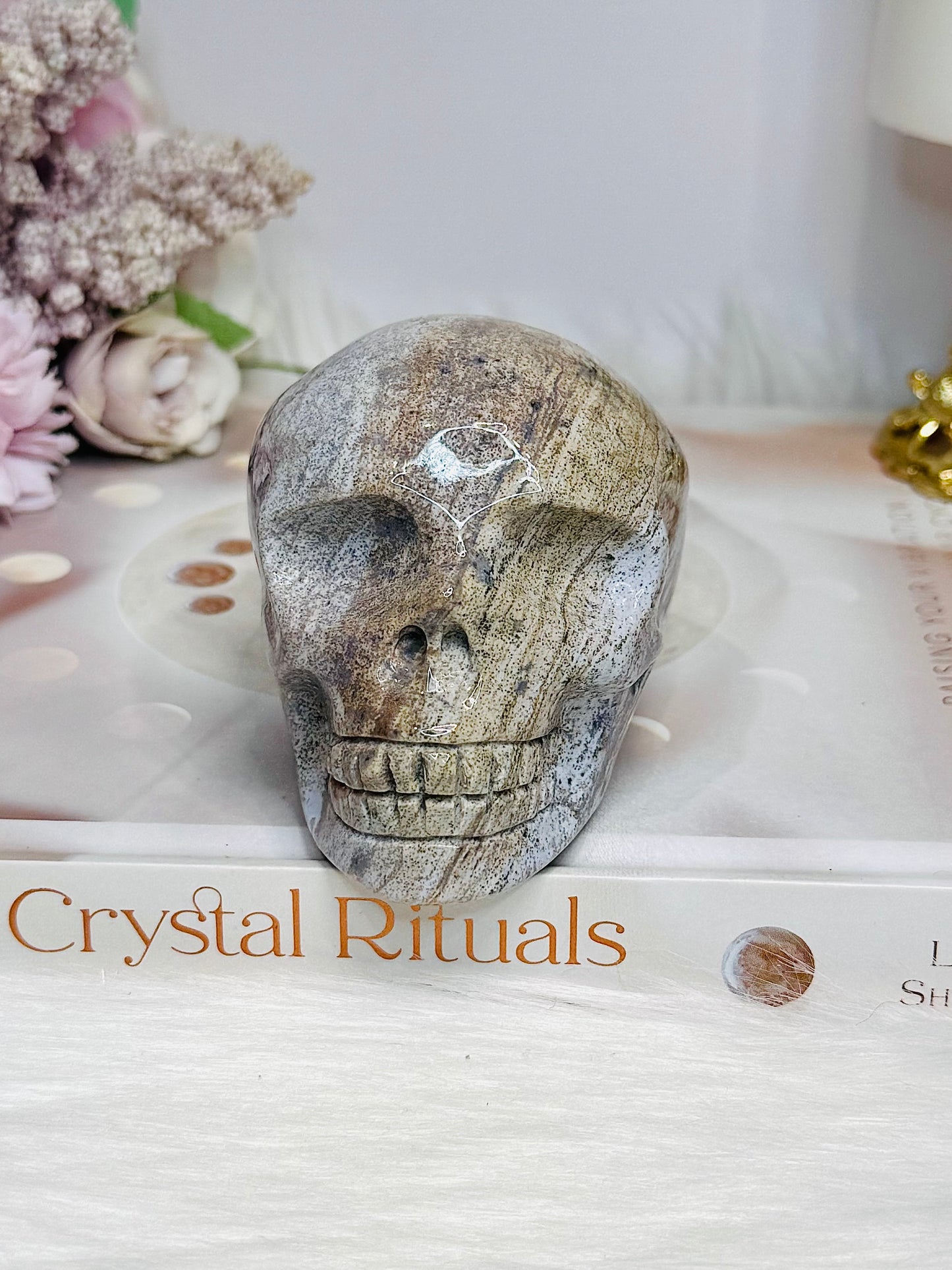 Ocean Jasper Carved Skull 8cm 401g