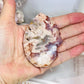 High Grade Amethyst X Flower Agate Druzy Freeform 8cm