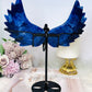 Large Blue Sodalite Angel Wings on Stand 23cm