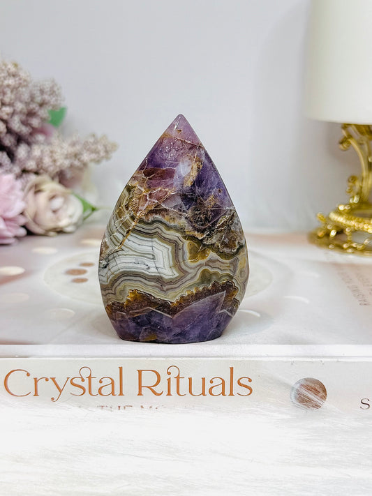 Crazy Lace Amethyst Flame 7.5cm
