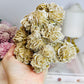 Natural Large Desert Rose Selenite Specimen 747g
